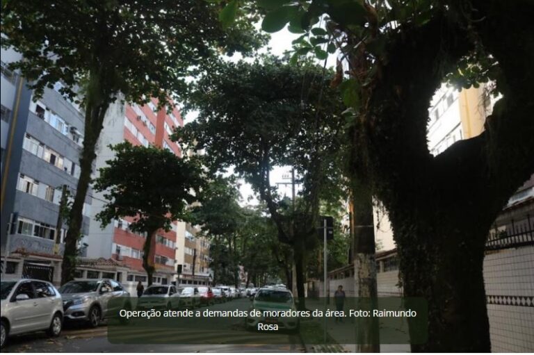 Força-tarefa realiza poda de árvores na Rua Guedes Coelho, em Santos, a partir do dia 22