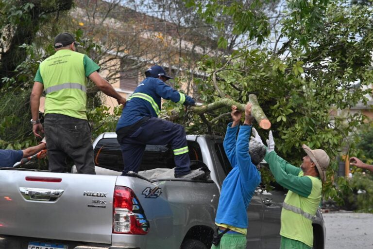 Prefeitura de Santos mobiliza mais de 200 profissionais para atender ocorrências após ventania de 111,8 km/h
